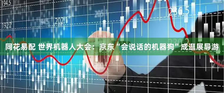 同花易配 世界机器人大会：京东“会说话的机器狗”成逛展导游