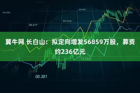 翼牛网 长白山：拟定向增发56859万股，募资约236亿元